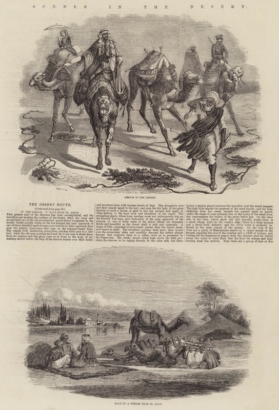 Çöl Manzaraları by John Wykeham Archer