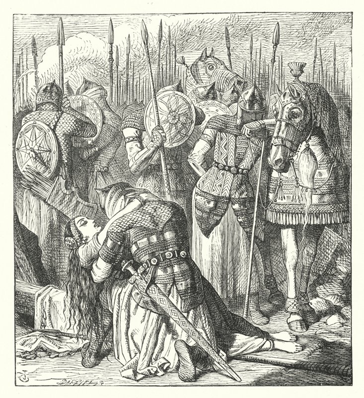 Bir Tartar Baskını (gravür) by John (after) Tenniel