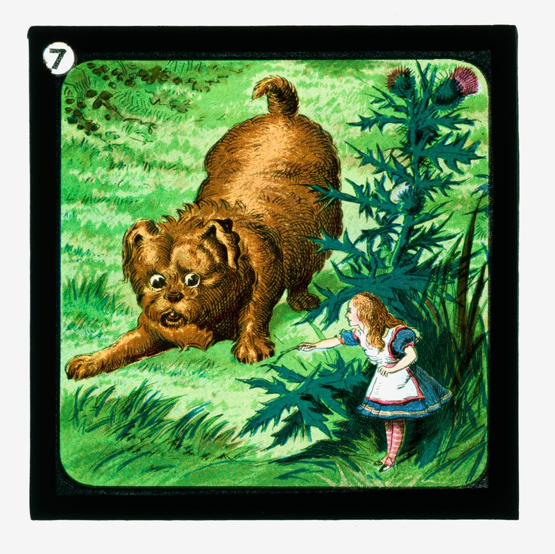 Alice Harikalar Diyarında, Renkli Fener Slaytları (fener slayt) by John (after) Tenniel