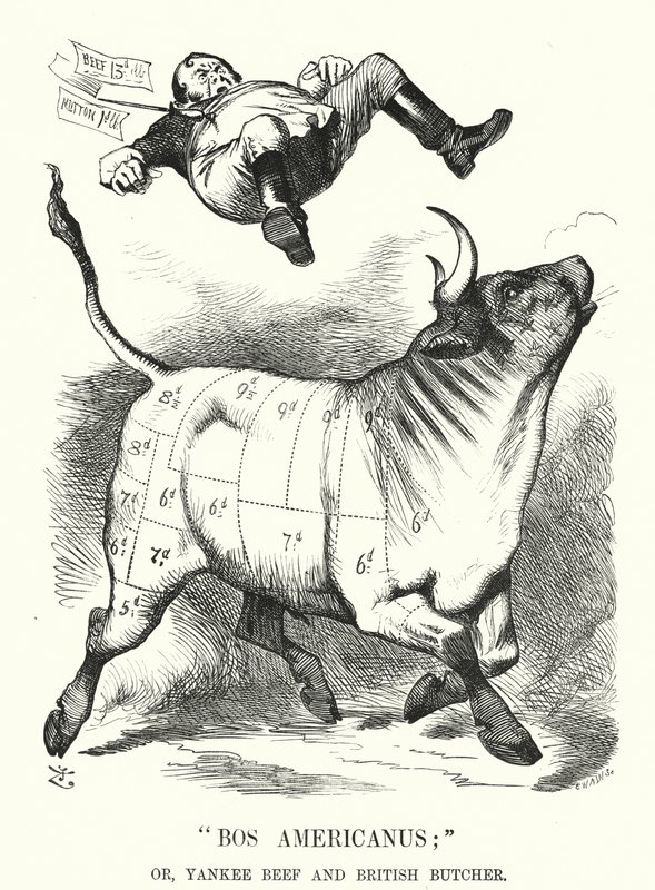 Yumruk karikatürü: Bos Americanus; veya, Yankee Beef ve British Butcher - Amerikan eti ithal etmenin tüketicilere beklenen faydaları (gravür) by John (after) Tenniel