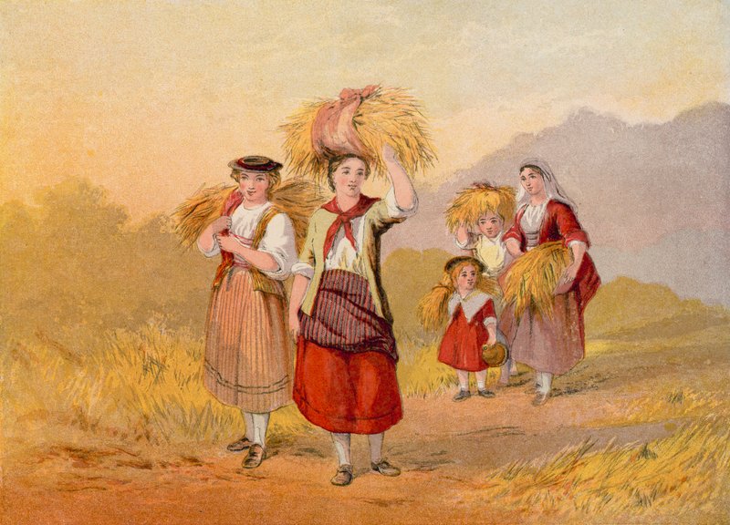 The Gleaner