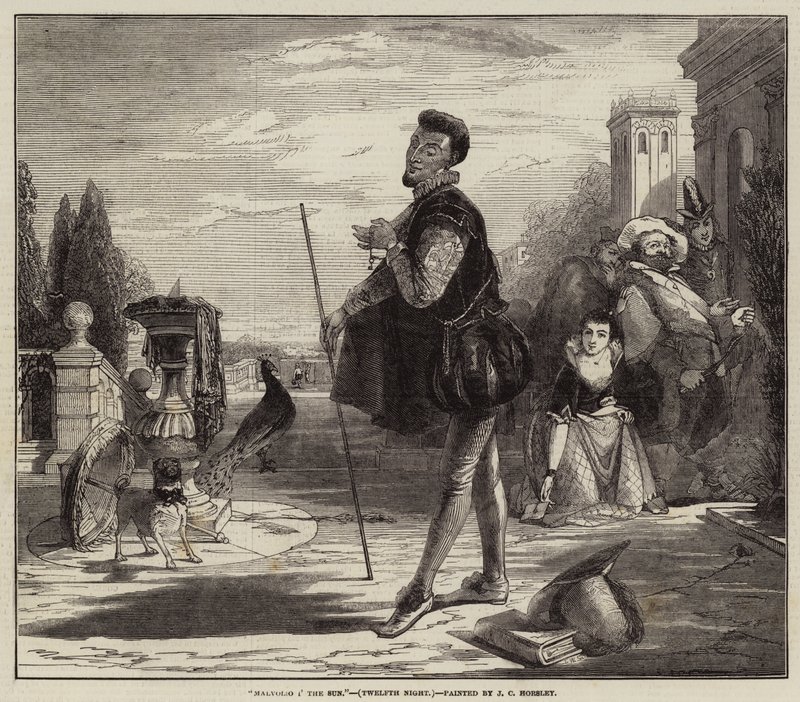 Malvolio i