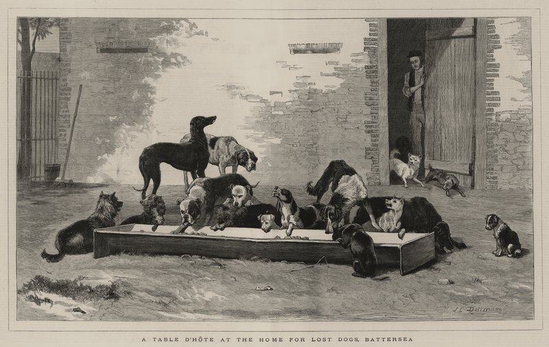 Battersea, Kayıp Köpekler İçin Evde Yemek Masası by John Charles Dollman