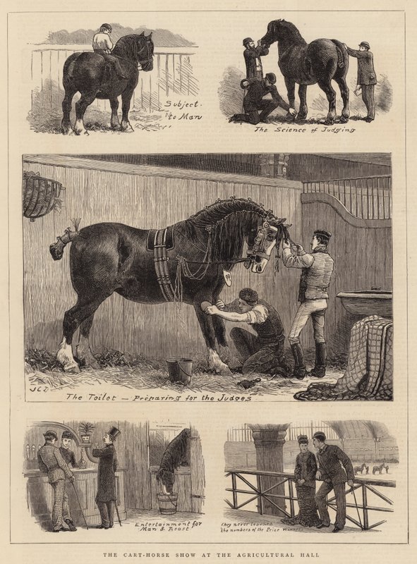 Tarım Salonunda Araba-At Gösterisi by John Charles Dollman
