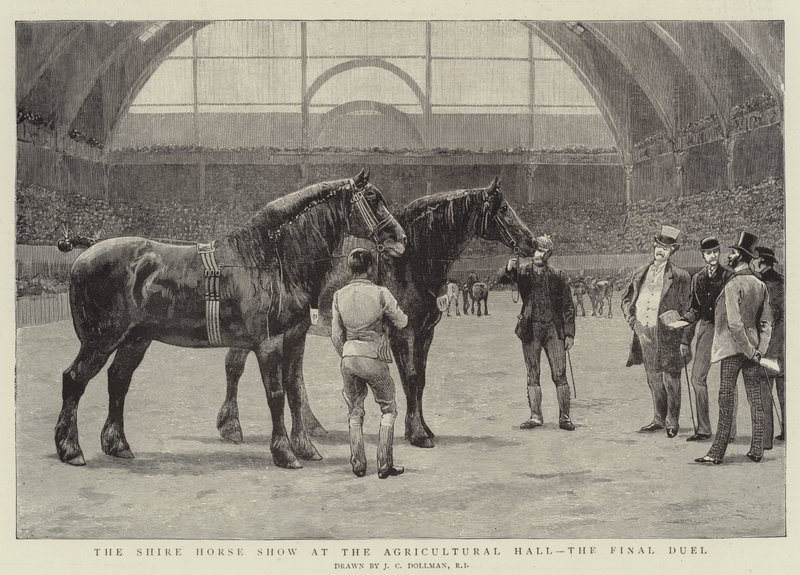 Tarım Salonundaki Shire At Gösterisi, Son Düello by John Charles Dollman