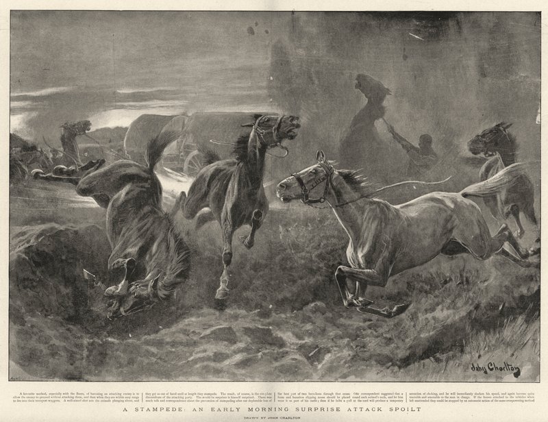Bir Stampede, Sabah Erken Sürpriz Saldırısı bozuldu by John Charlton