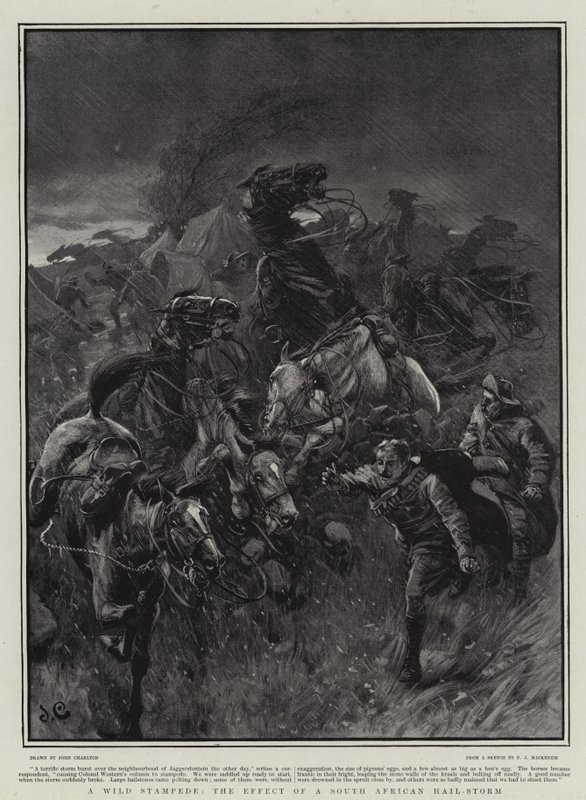 Vahşi Bir İzdiham, Güney Afrika Dolu Fırtınasının Etkisi by John Charlton
