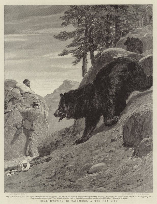 Kaşmir'de Ayı Avı, Hayat Koşusu by John Charlton
