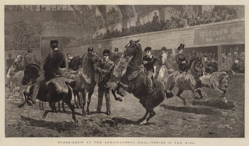 Tarım Salonunda At Gösterisi, Ringde Midilliler by John Charlton
