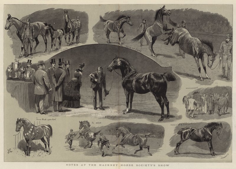Hackney Horse Society Gösterisinden Notlar by John Charlton