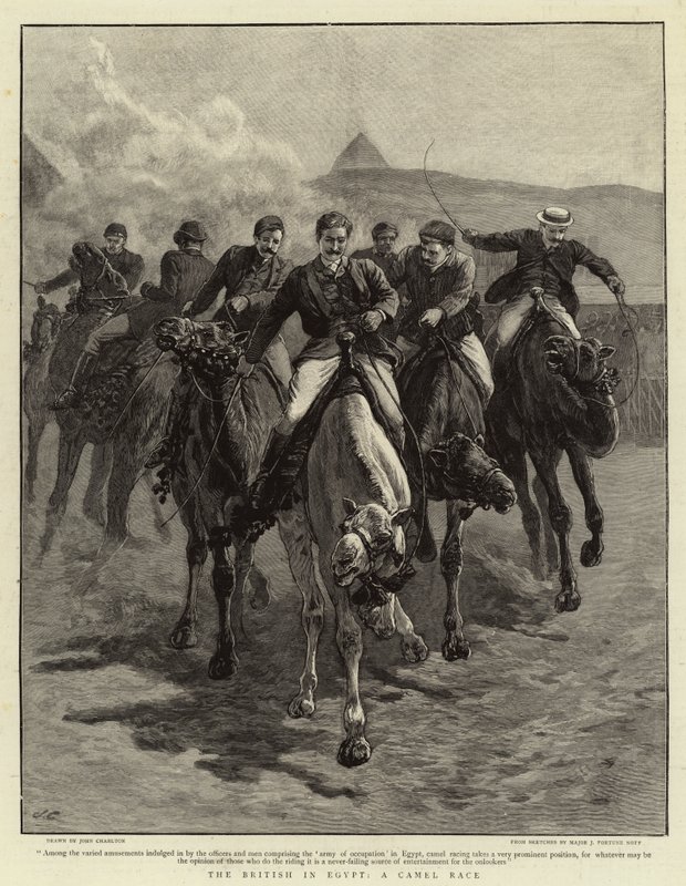 Mısır