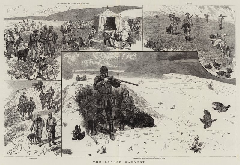 Orman Tavuğu Hasadı by John Charlton