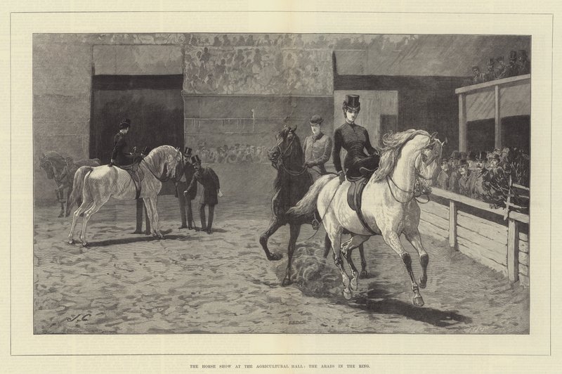 Ziraat Salonundaki At Gösterisi, Yüzükteki Araplar by John Charlton