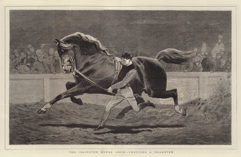 Islington Horse Show, bir Roadster