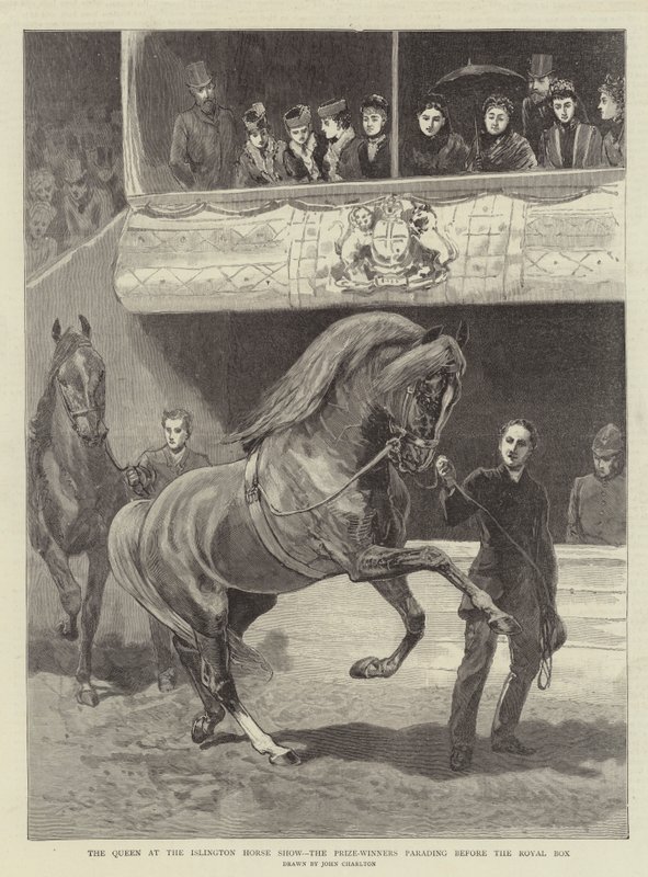 Islington Horse Show'da Kraliçe, Kraliyet Kutusu önünde geçit töreni yapan Ödül Kazananlar by John Charlton