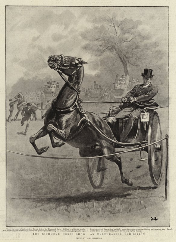 Richmond At Gösterisi, Prova Edilmemiş Bir Sergi by John Charlton