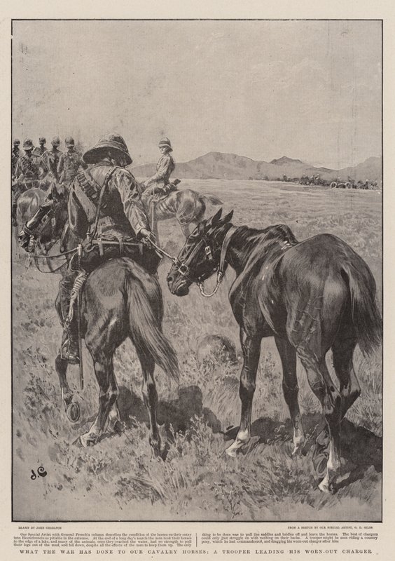 Yıpranmış Şarj Aletini yöneten bir Asker olan Süvari Atlarımıza Savaşın Yaptıkları by John Charlton
