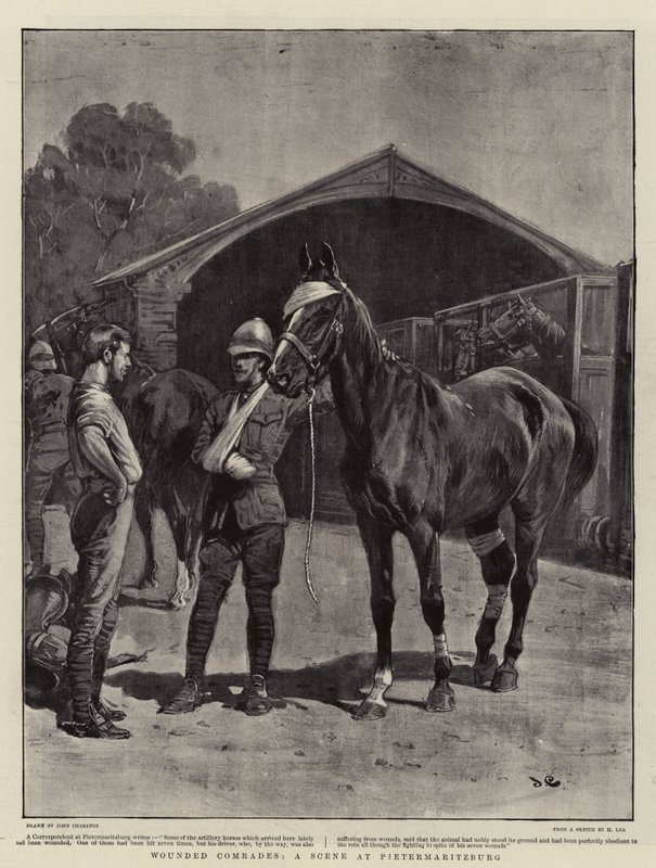 Yaralı Yoldaşlar, Pietermaritzburg