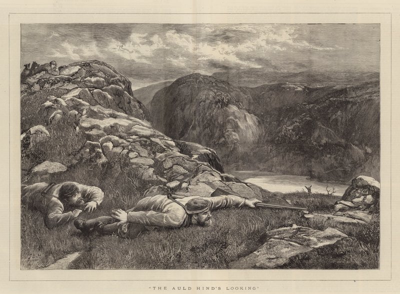 Auld Hind'in Bakışı by John Evan Hodgson