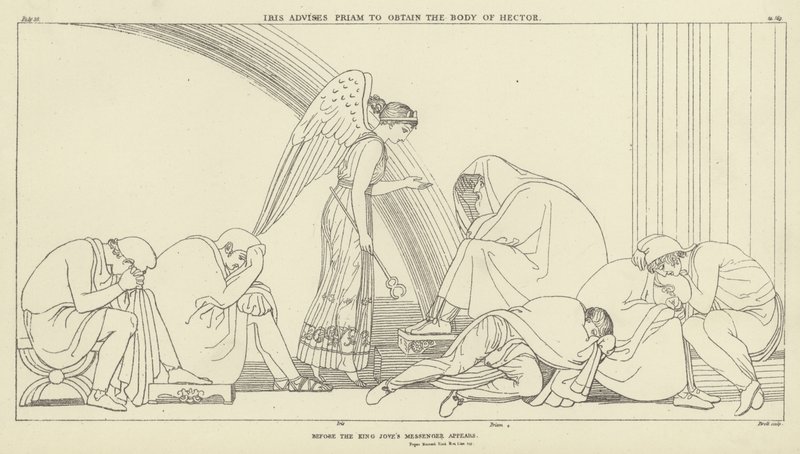 Iris, Priam