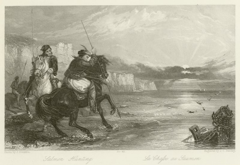 somon avı by John Franklin