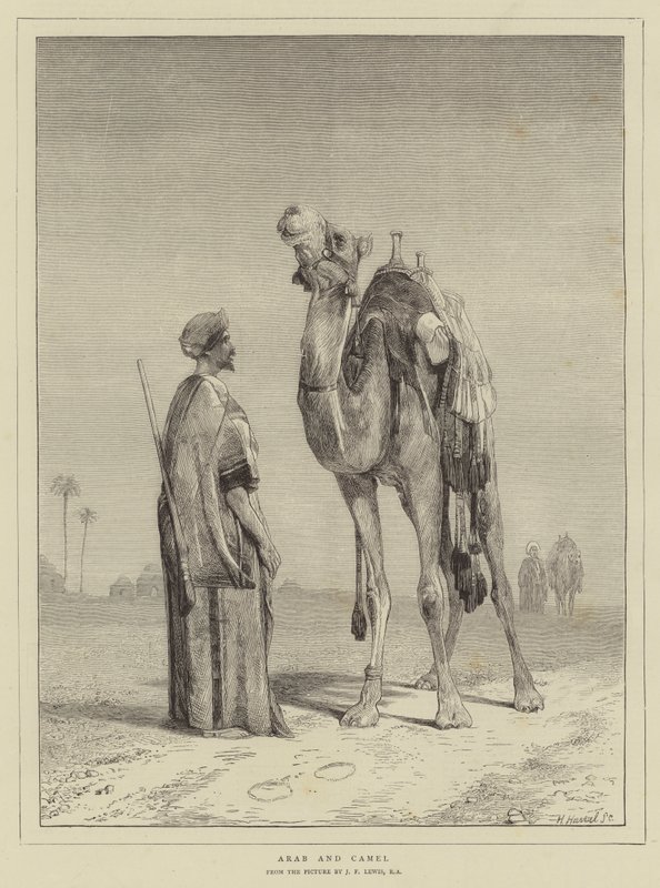 Arap ve Deve by John Frederick Lewis