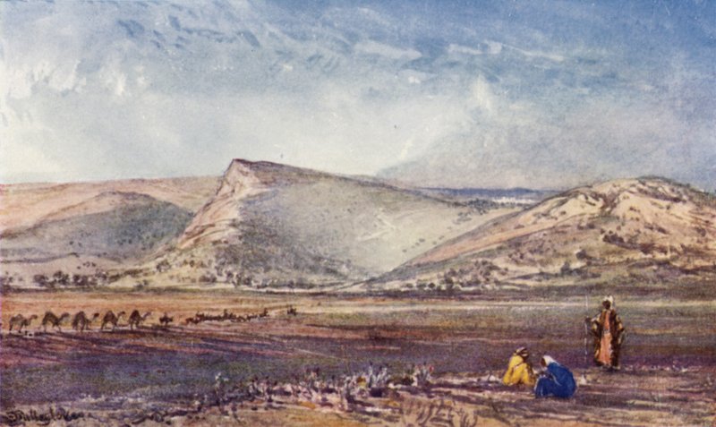 Esdraelon Ovası