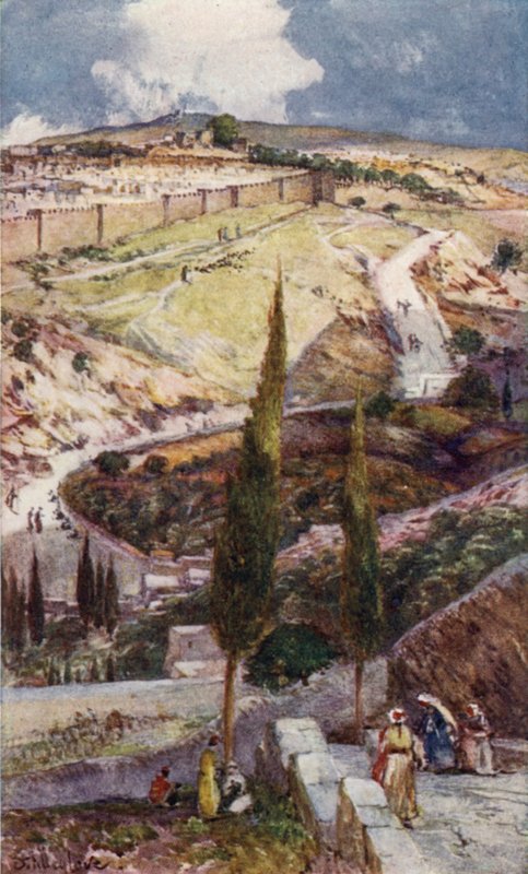 Zeytin Dağı