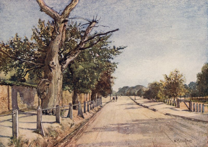 İspanyollar Yolu, Hampstead (renkli taş) by John Fulleylove