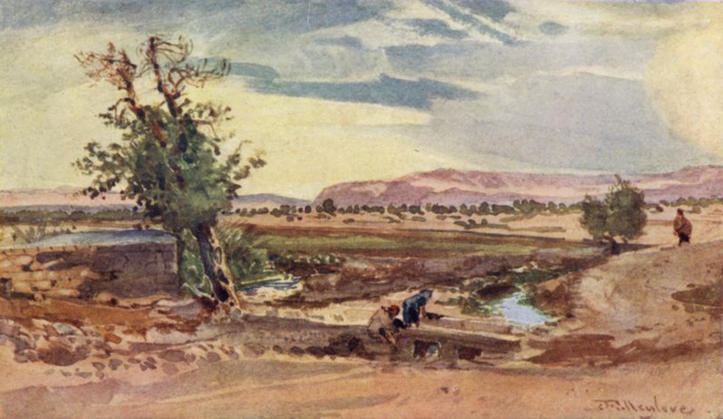 Elişa