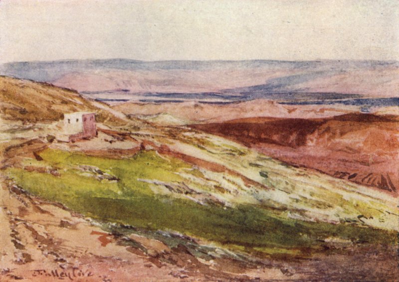 Zeytin Dağı