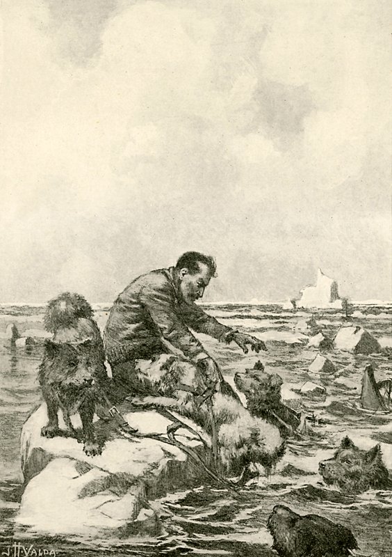 Dr Grenfell bir buz parçası üzerinde sürükleniyor by John Harris Valda