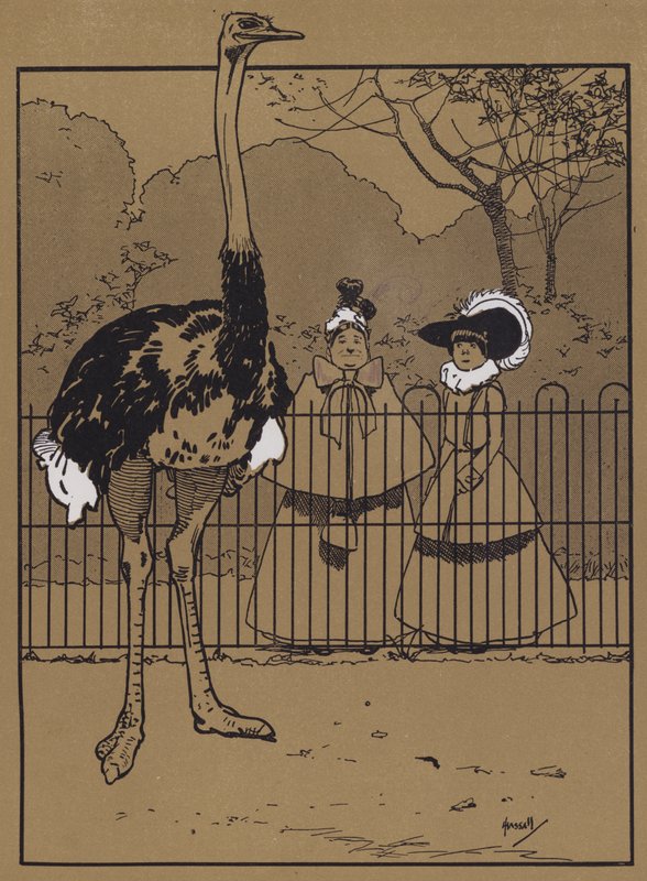 Devekuşu Tüyleri (renkli lito) by John Hassall
