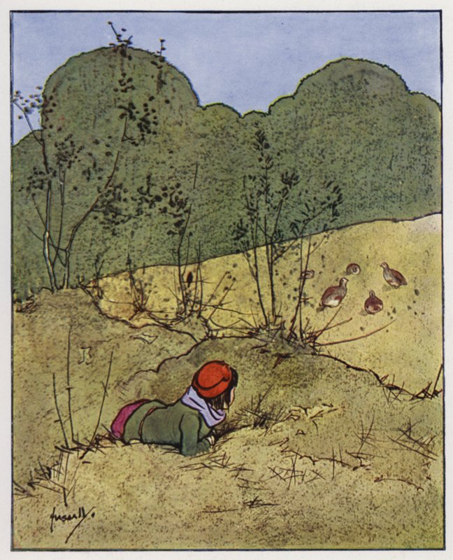keklik (renkli taş) by John Hassall