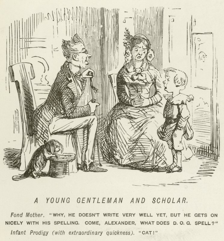 A Young Gentleman and Scholar  by John Leech