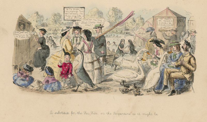 Denize alternatif; veya, Serpantin olabileceği gibi by John Leech