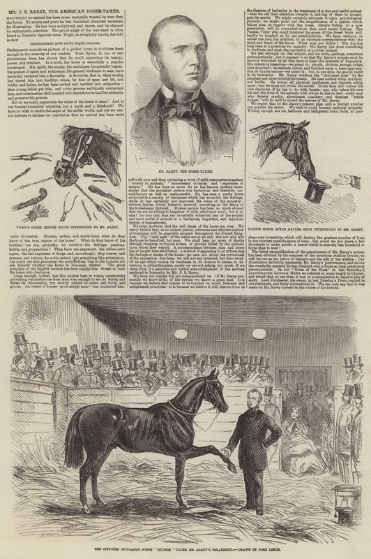 Bay JS Rarey, Amerikan At Terbiyecisi by John Leech