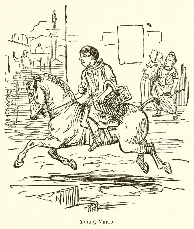 Young Varro  by John Leech