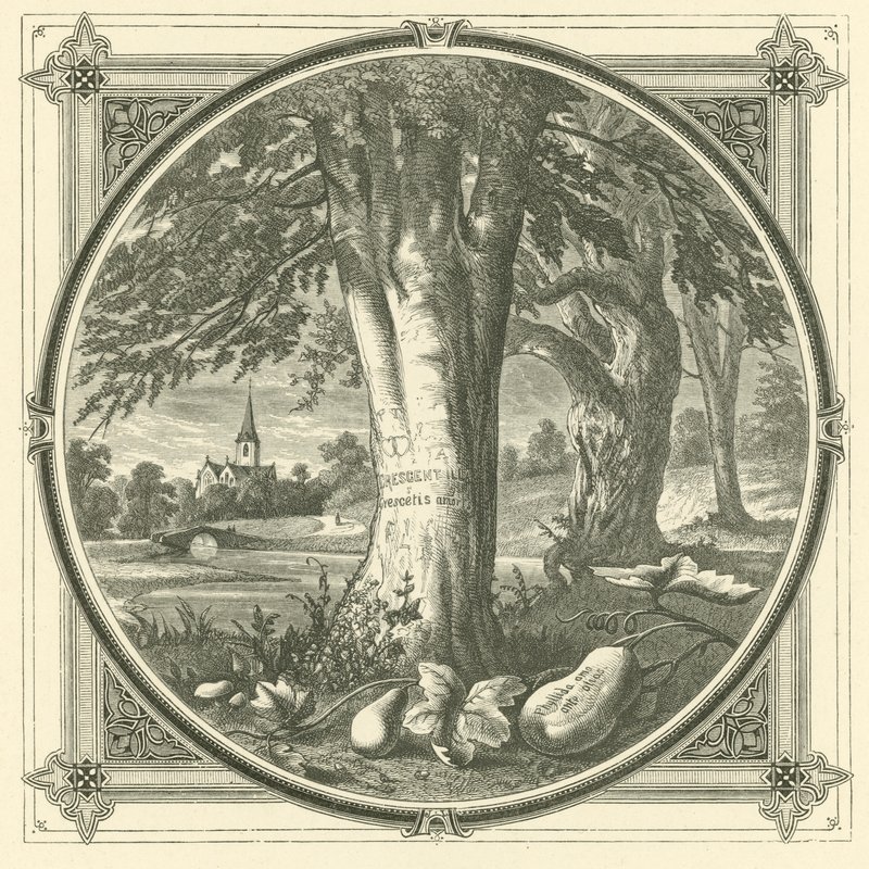 Aşk akıl almaz bir şekilde ele geçirir (gravür) by John Leighton