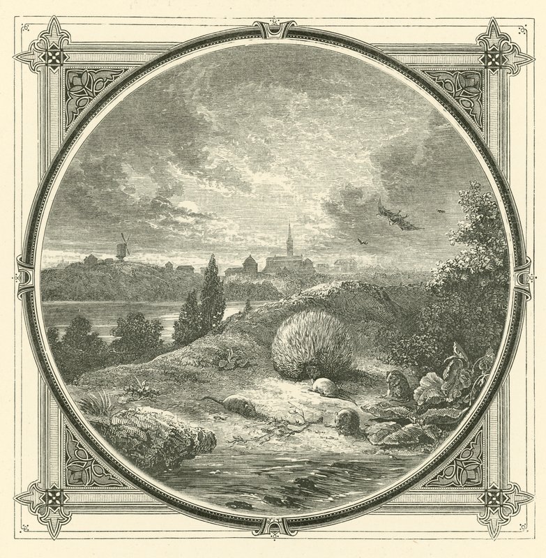 Oyna, ama iffetli (gravür) by John Leighton