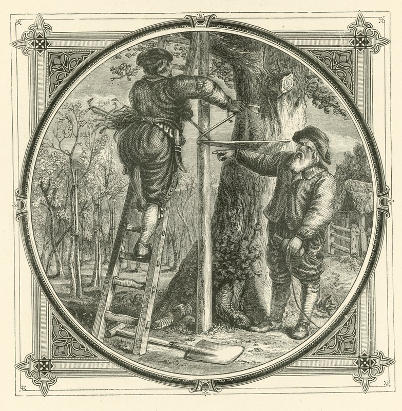 Dallar eğitilebilir, ancak gövde değil (gravür) by John Leighton