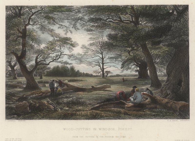 Windsor Ormanında Ağaç Kesimi (renkli gravür) by John Linnell