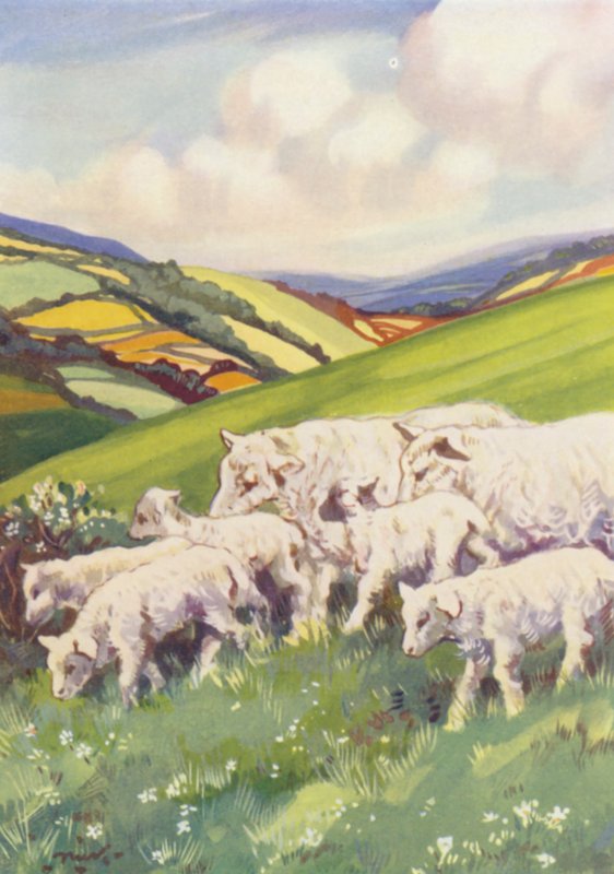  by John Nicholson
