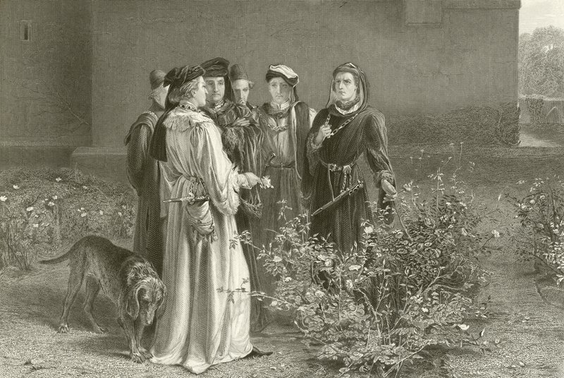 rakip güller by John Pettie