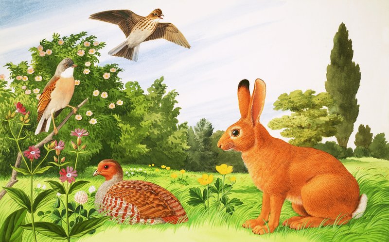  by John Rignall