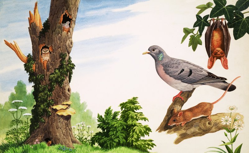  by John Rignall