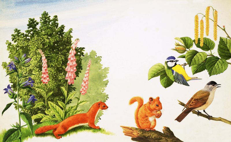  by John Rignall