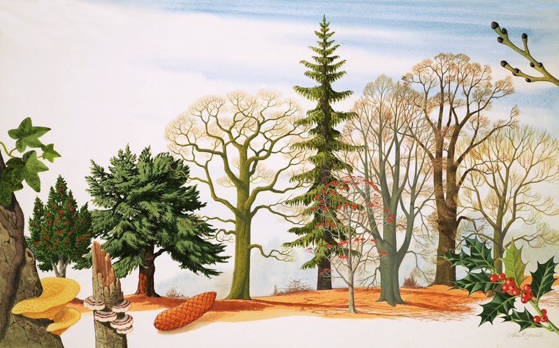  by John Rignall