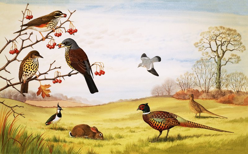  by John Rignall