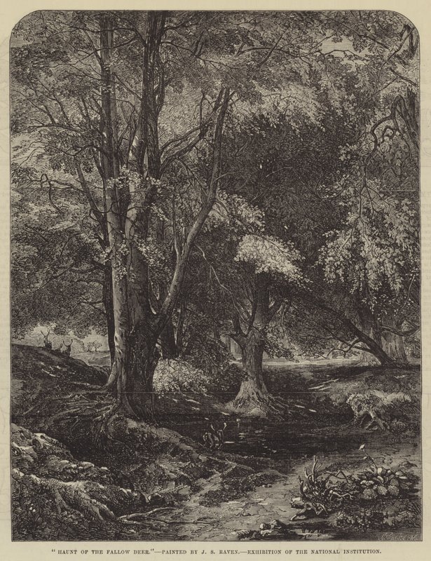 Alageyik Perisi by John Samuel Raven